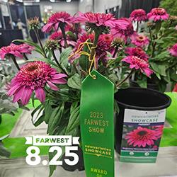 A green ribbon saying Retailers Choice Award hangs from a double scoop deluxe plant in full bloom at Farwest Show Aug. 25.