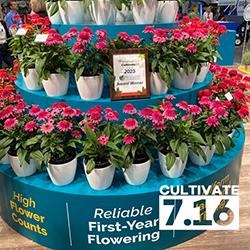 A three-tiered circular teal-colored display at Cultivate July 16 with a Readers Choice Award nestled among Double Scoop Deluxe plants.