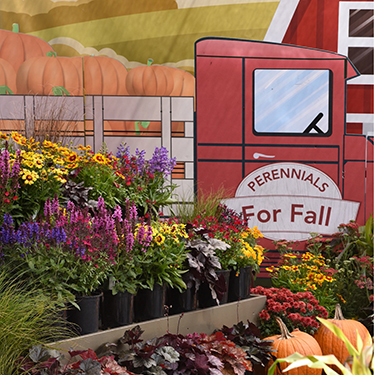 A backdrop of an illustrated farm truck and pumpkins hangs behind a bench of fall-focused perennials and grasses.