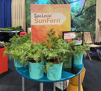 Tradeshow booth display showcasing Artemisia on a round table