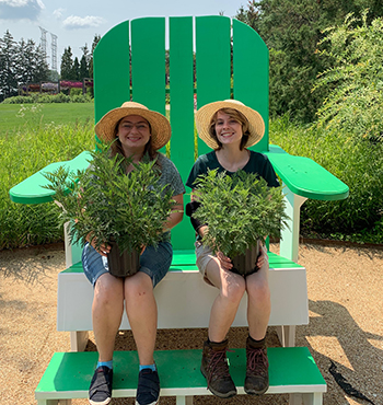 Two women sit together on an oversized adirondack chair each holding a potted SunFern Artemisia in their laps
