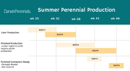 chart for summer perennial production