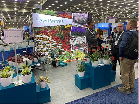 The Darwin Perennials booth at MANTS 2024