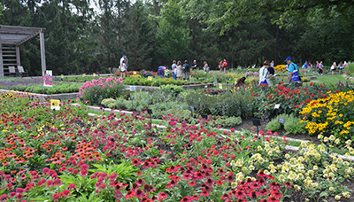 Guests touring The Gardens at Ball during Darwin Perennials Day.