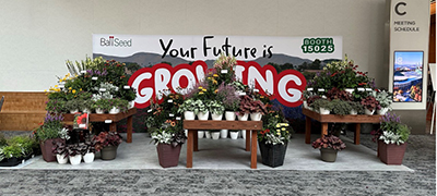 Your Future Is Growing sign stands along a wall with a wide array of flowers on display.
