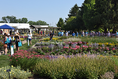 People looking at multiple gardens outside