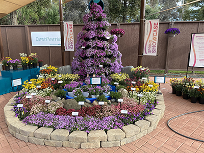 Waterfall display made up of colorfull flowers