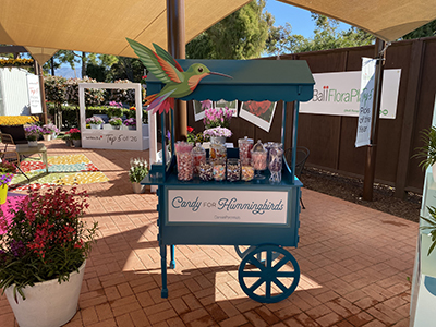 Candy cart display with a hummingbird