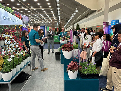The Darwin Perennials team talks to students from Seed Your Future.