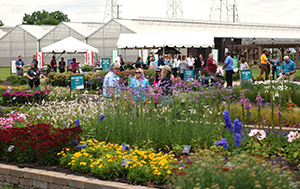 Visitors in an outdoor perennial garden bed with greenhouses in the background.