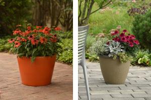 Collage of two outdoor flower pots featuring colorful echinacea. 