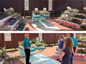 Collage of springboard display at Darwin Perennials booth at CAST26