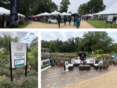 Collage from Darwin Perennials Day 2026