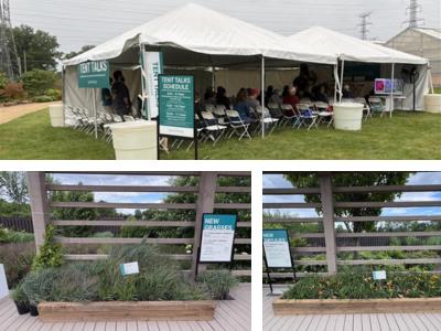 Collage of outdoor photos from Darwin Perennials Day 2026