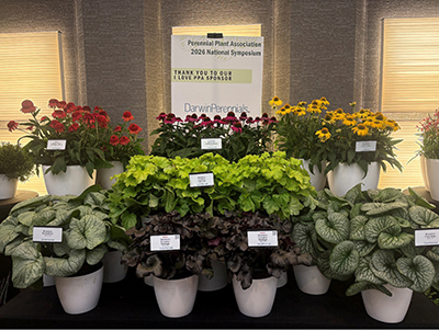 Perennial plant display at a trade show