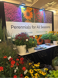 Perennial flower display at a trade show