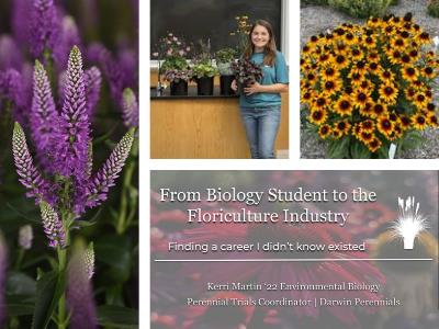 Collage of perennials and woman holding a plant