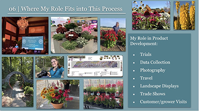 Collage on a presentation slide