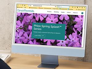 A desktop computer with the new Darwin Perennials homepage displayed.