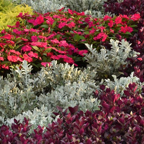 Photo:  Commercial Landscape 2