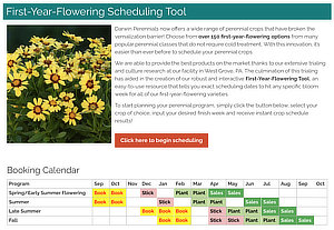 First-Year-Flowering Scheduling Tool