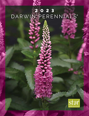 Darwin 2023 Catalog (Star Roses & Plants)