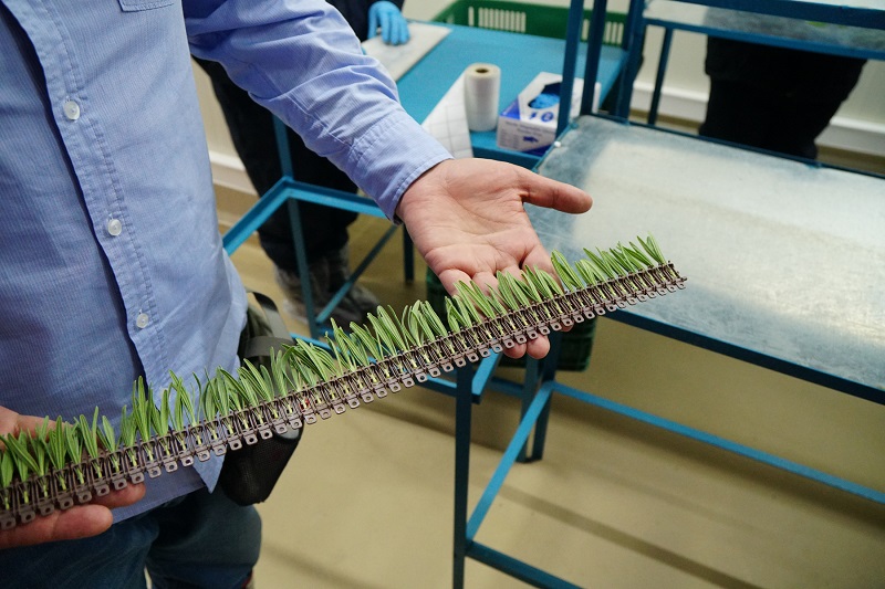 picture of an Autostix strip with cuttings