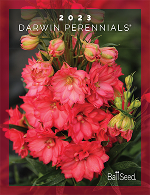 Darwin Perennials Ball Seed 2023 catalog