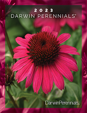 Darwin Perennials 2023 catalog