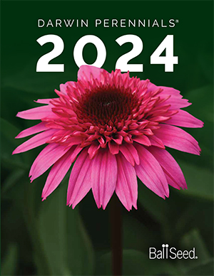 Darwin Perennials Ball Seed 2024 catalog