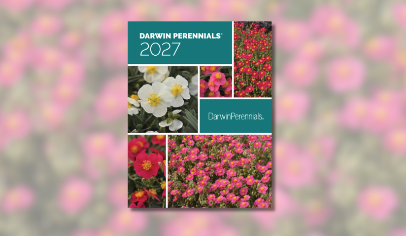 image of catalog