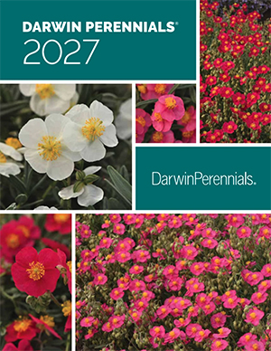 2027 Darwin Perennials Catalog