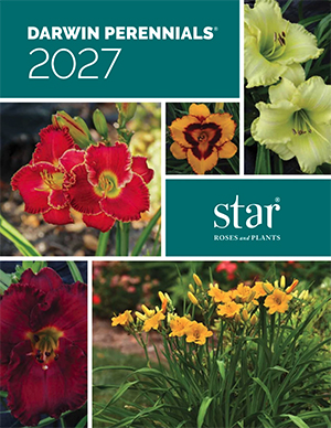 2027 Darwin Perennials Catalog (Star Roses & Plants)