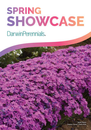 Spring Showcase Brochure