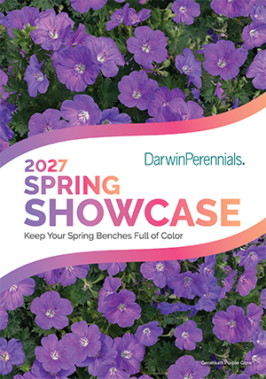 Spring Showcase Brochure