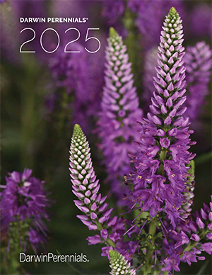 2025 Darwin Perennials Catalog
