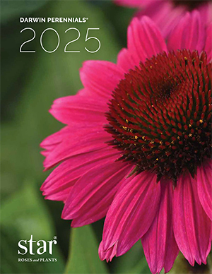 2025 Darwin Perennials Catalog