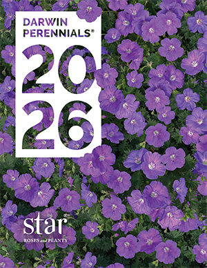 2026 Darwin Perennials Catalog