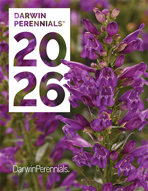 2026 Darwin Perennials Catalog
