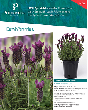 2025 Darwin Perennials Catalog