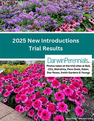 2025 Darwin Perennials Catalog