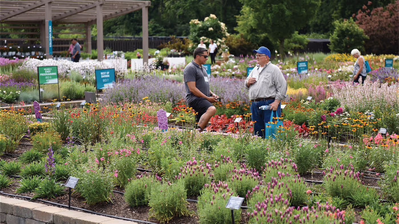 Darwin Perennials Day garden