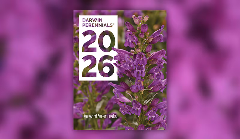 image of catalog