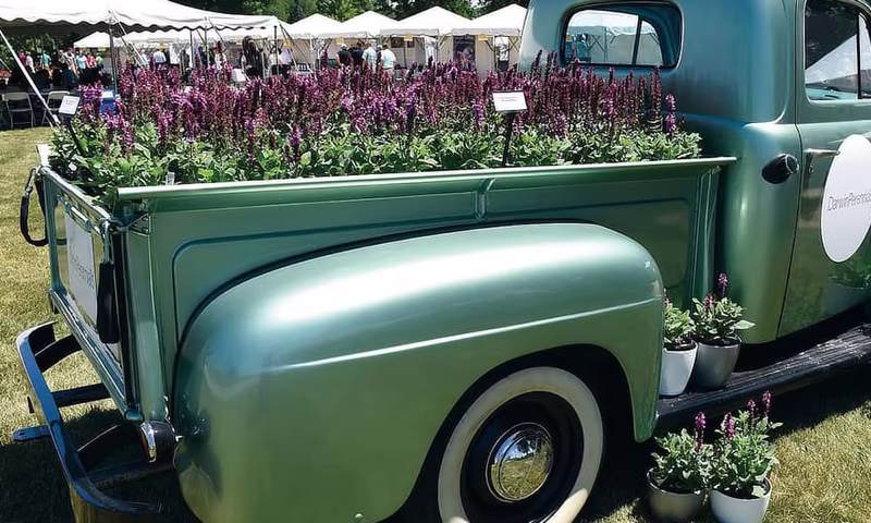 Image from Darwin Perennials Day