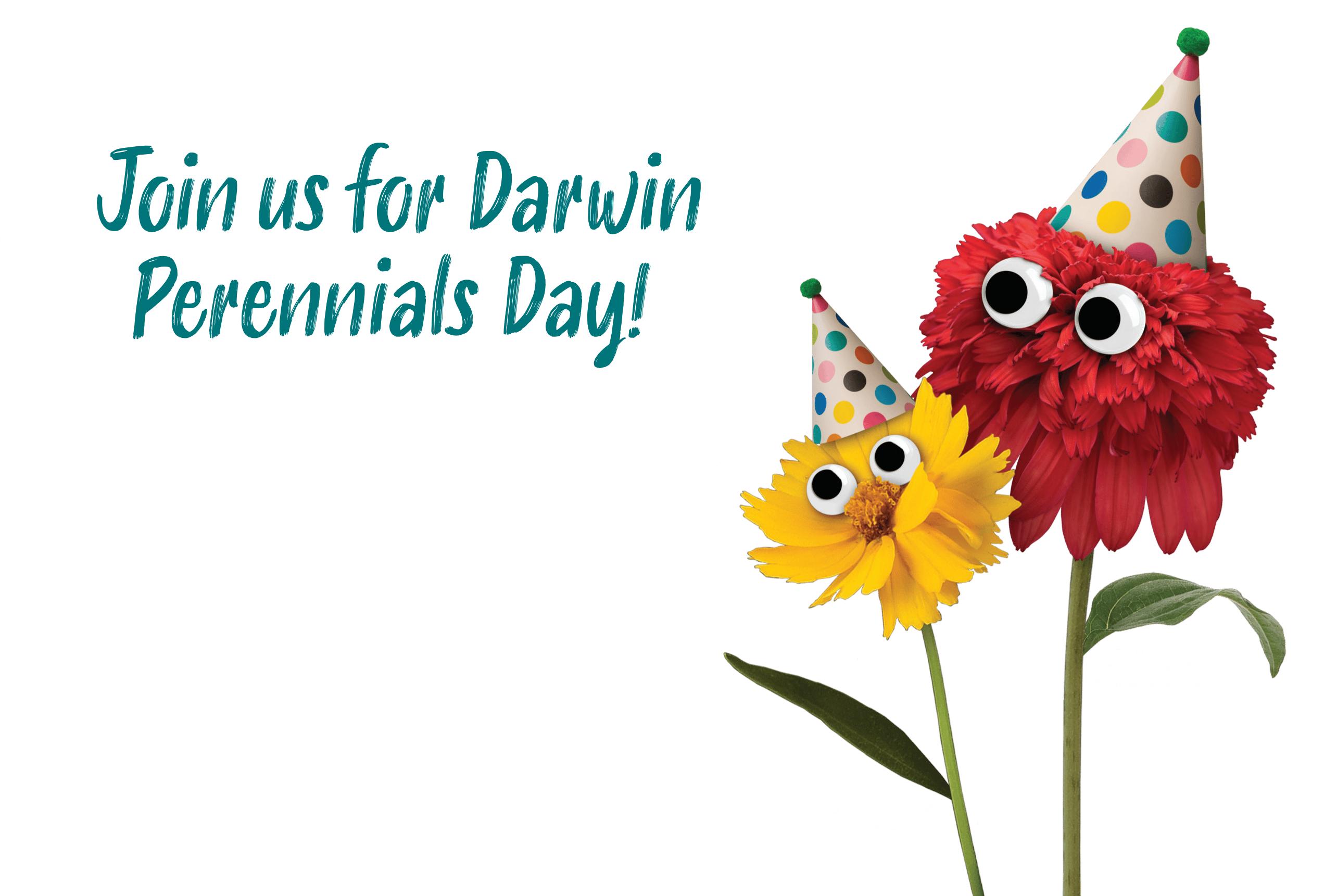 Join us for Darwin Perennials Day!