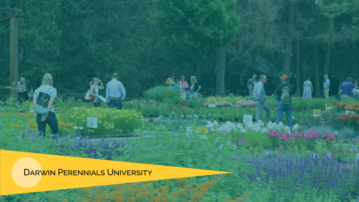 Darwin Perennials University - Learn from the Experts