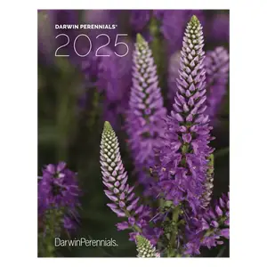 Darwin Catalogs & Literature
