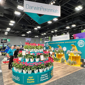 Darwin Events