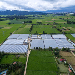Our Farm photo